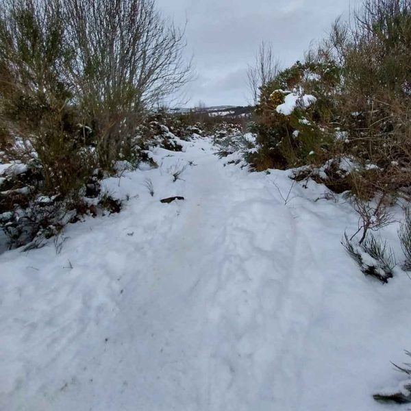 View of the Strathpuffer track in Contin forest near Strathpeffer