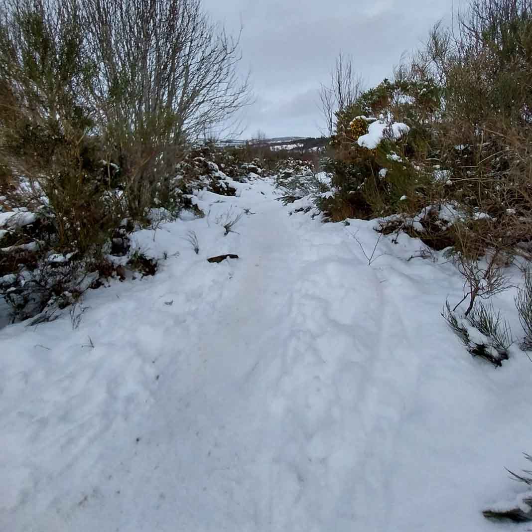 View of the Strathpuffer track in Contin forest near Strathpeffer